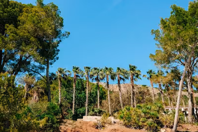 Palma, Spain