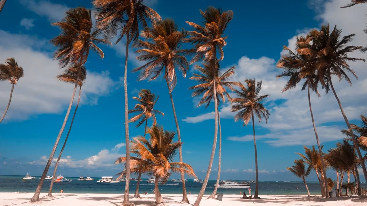 Cheap flights to Punta Cana, Dominican Republic