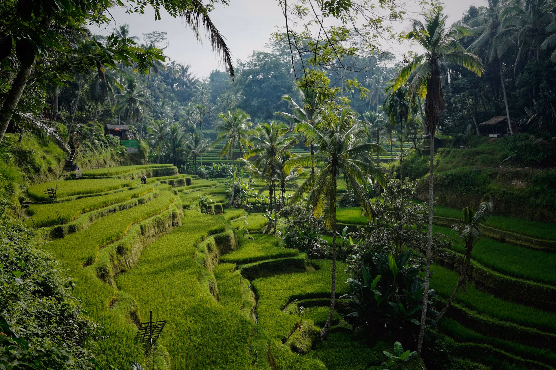 Cheap flights to Ubud, Indonesia