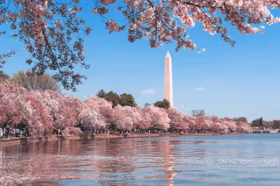 Washington D.C., United States