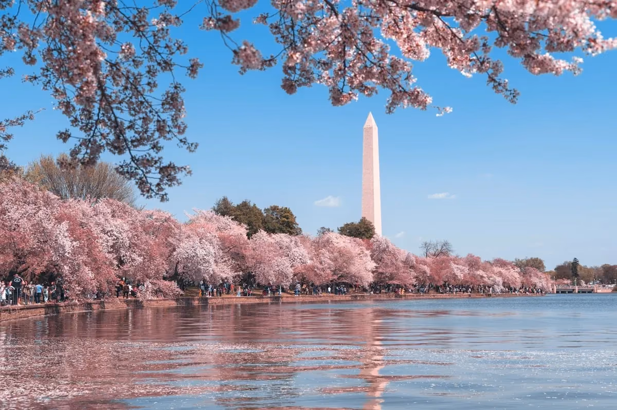 Cheap flights to Washington D.C., United States